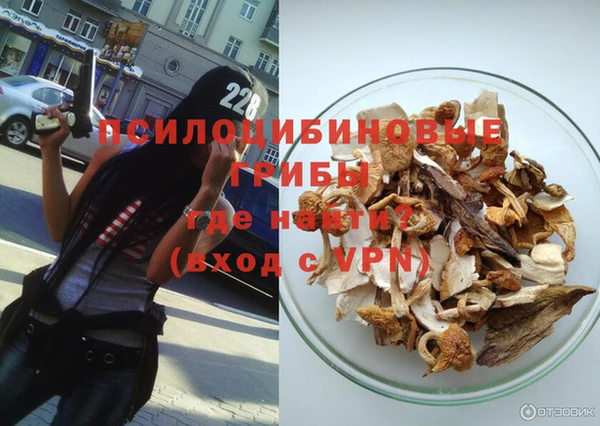 PSILOCYBIN Вязьма