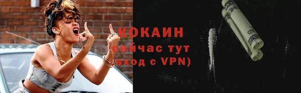 эйфоретик Вяземский
