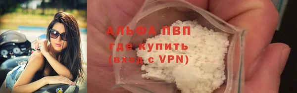 эйфоретик Вяземский