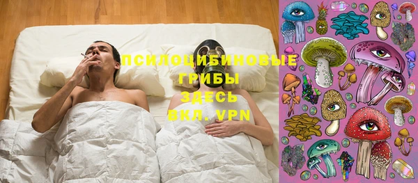 эйфоретик Вяземский