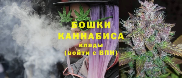 PSILOCYBIN Вязьма