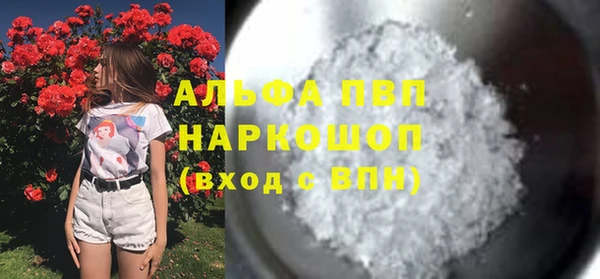 эйфоретик Вяземский