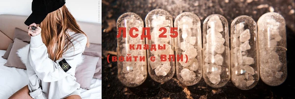 PSILOCYBIN Вязьма